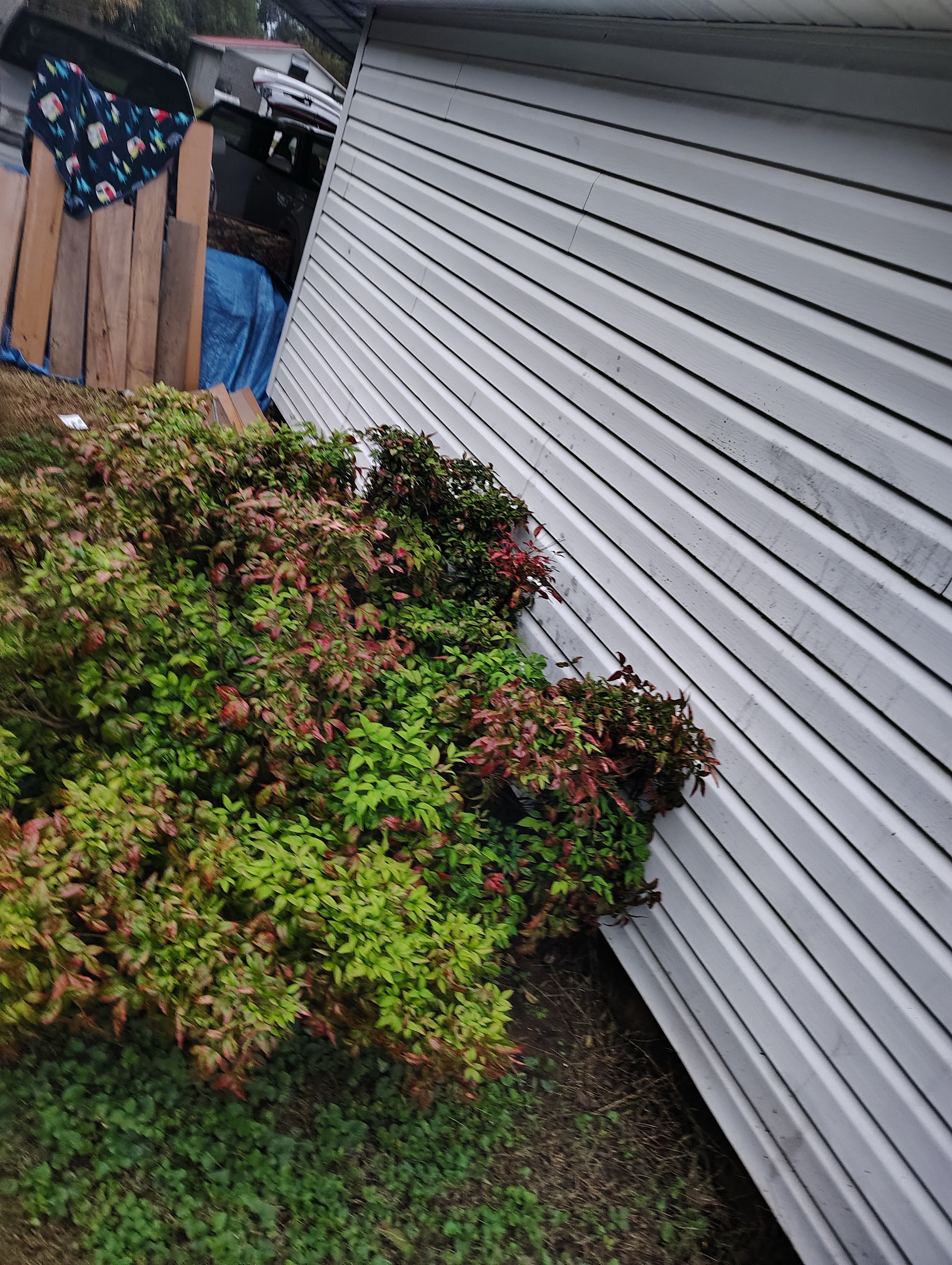 Siding Cleaning